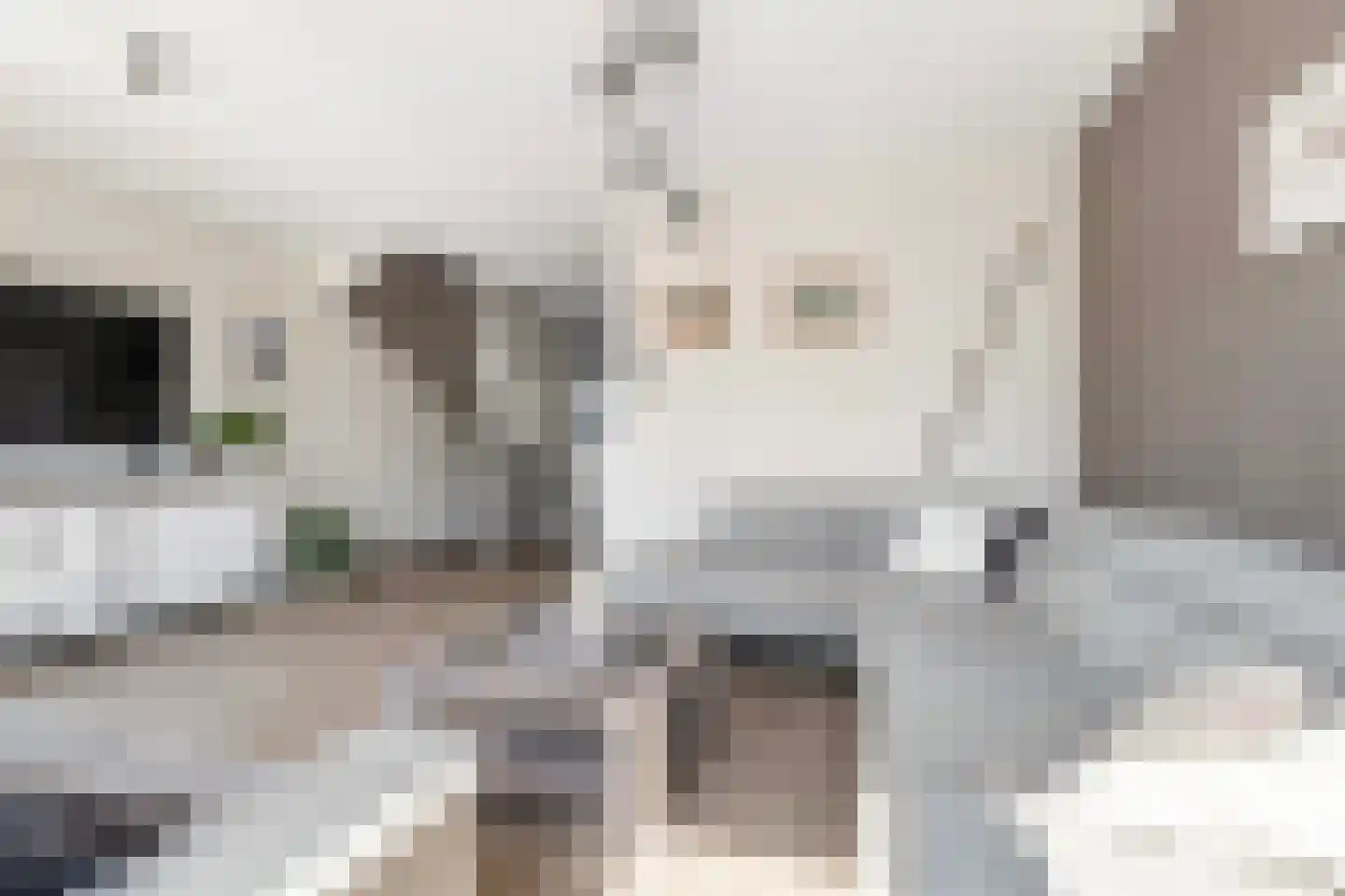 Klapwijkse eilanden 50 Berkel en Rodenrijs thumbnail 12