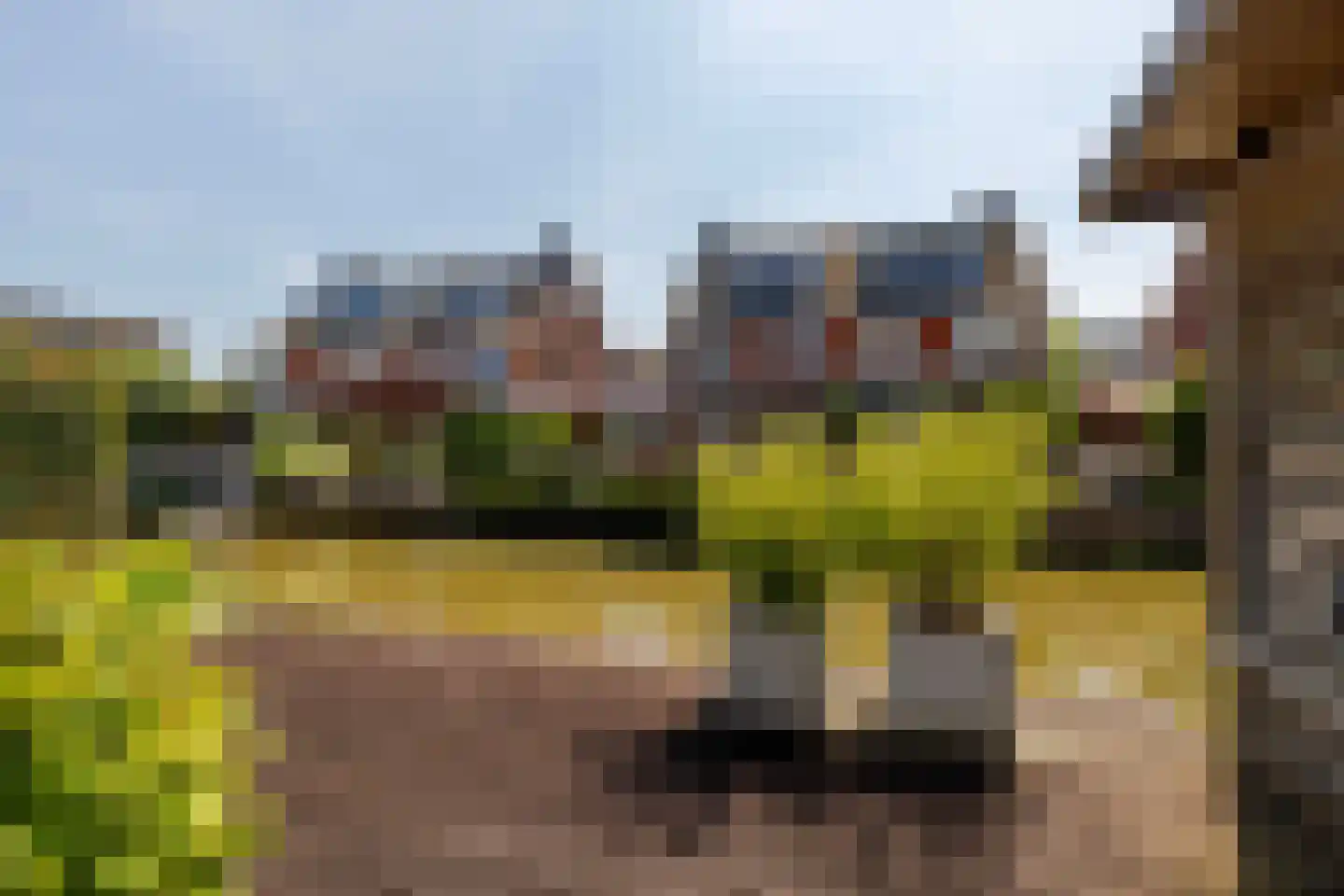 Klapwijkse eilanden 50 Berkel en Rodenrijs thumbnail 39