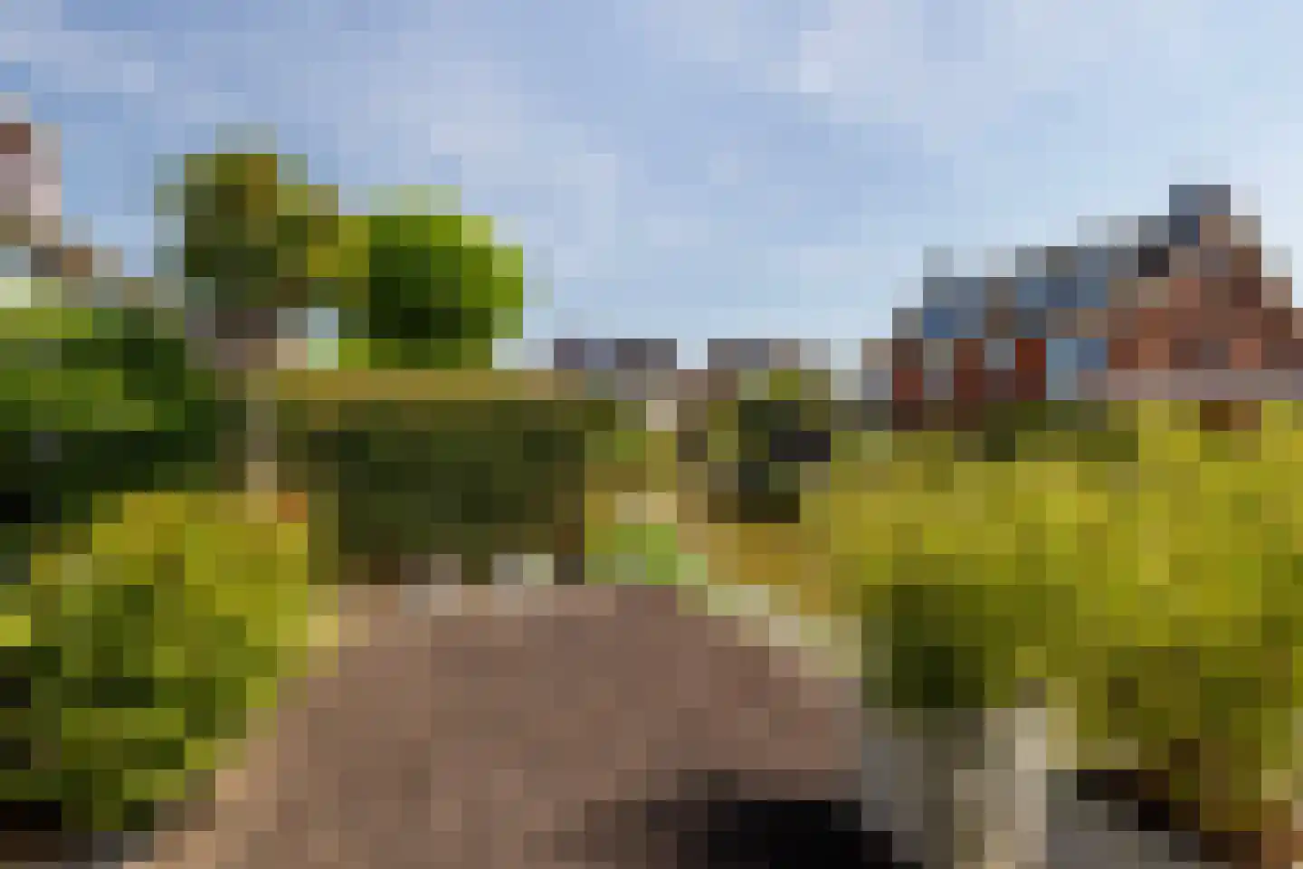 Klapwijkse eilanden 50 Berkel en Rodenrijs thumbnail 41