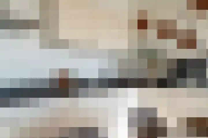 Klapwijkse Zoom 141 Berkel en Rodenrijs thumbnail 11
