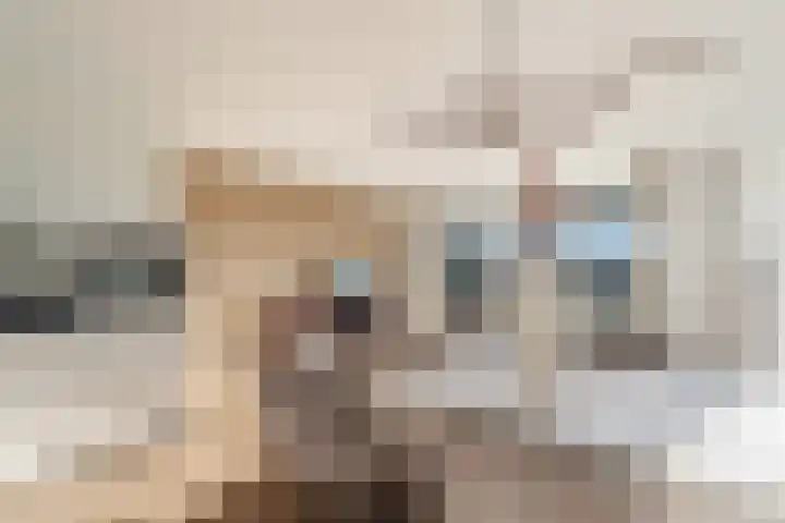 Klapwijkse Zoom 141 Berkel en Rodenrijs thumbnail 12