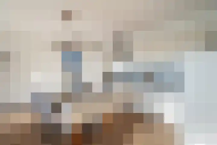Klapwijkse Zoom 141 Berkel en Rodenrijs thumbnail 13