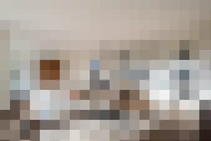 Klapwijkse Zoom 141 Berkel en Rodenrijs thumbnail 14