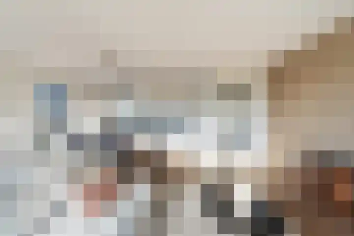Klapwijkse Zoom 141 Berkel en Rodenrijs thumbnail 15