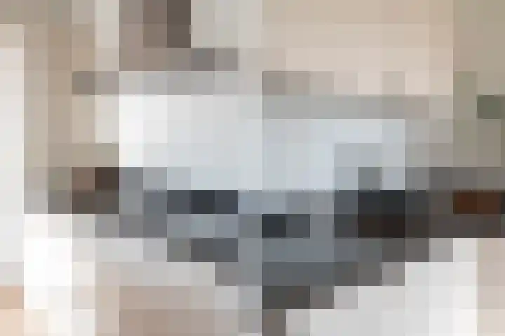 Klapwijkse Zoom 141 Berkel en Rodenrijs thumbnail 17