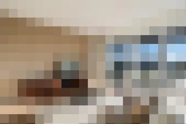 Klapwijkse Zoom 141 Berkel en Rodenrijs thumbnail 18