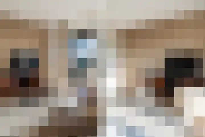 Klapwijkse Zoom 141 Berkel en Rodenrijs thumbnail 19