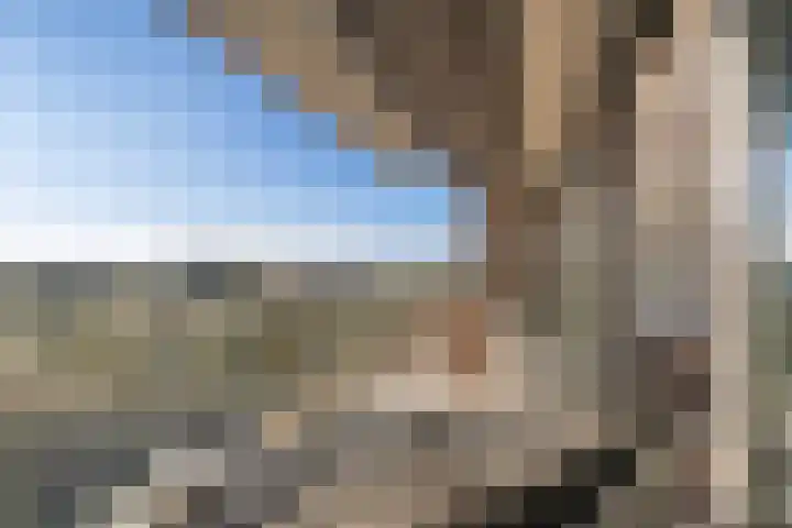 Klapwijkse Zoom 141 Berkel en Rodenrijs thumbnail 22