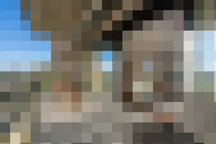 Klapwijkse Zoom 141 Berkel en Rodenrijs thumbnail 23