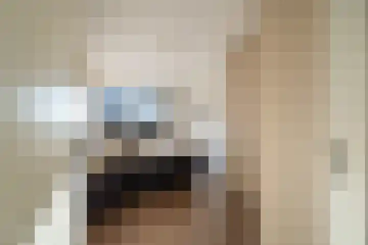 Klapwijkse Zoom 141 Berkel en Rodenrijs thumbnail 28
