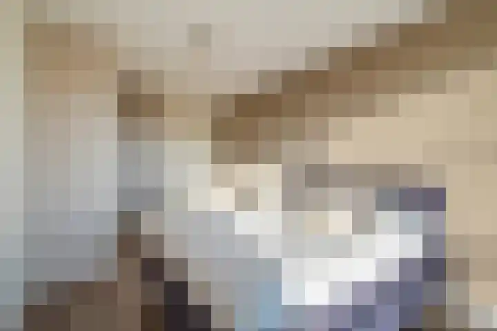 Klapwijkse Zoom 141 Berkel en Rodenrijs thumbnail 30