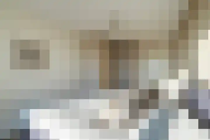 Klapwijkse Zoom 141 Berkel en Rodenrijs thumbnail 31