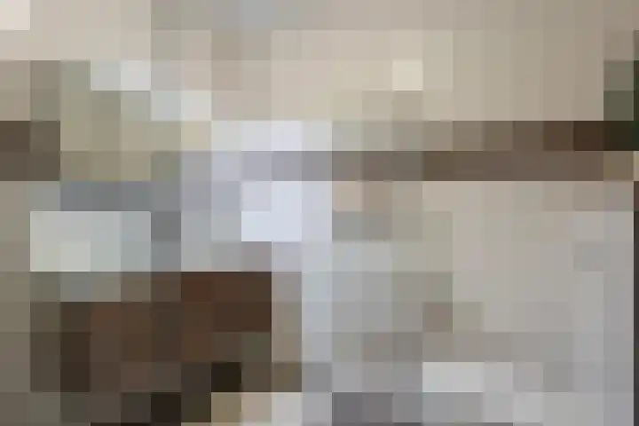 Klapwijkse Zoom 141 Berkel en Rodenrijs thumbnail 37