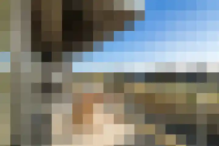 Klapwijkse Zoom 141 Berkel en Rodenrijs thumbnail 4