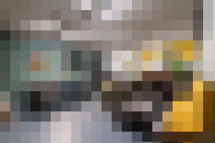 Klapwijkse Zoom 141 Berkel en Rodenrijs thumbnail 42