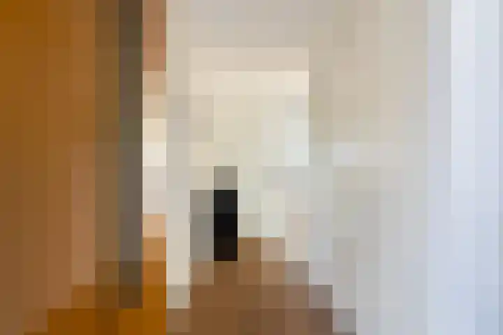 Klapwijkse Zoom 141 Berkel en Rodenrijs thumbnail 5