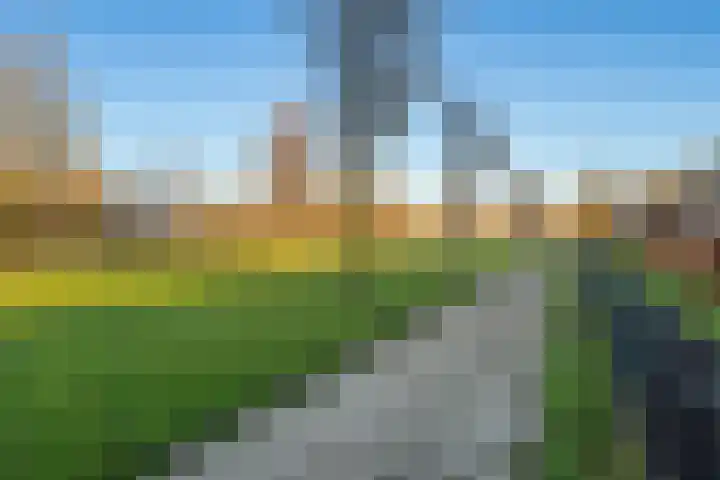 Klapwijkse Zoom 141 Berkel en Rodenrijs thumbnail 55