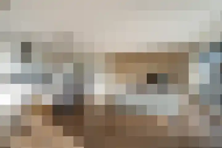 Klapwijkse Zoom 141 Berkel en Rodenrijs thumbnail 8