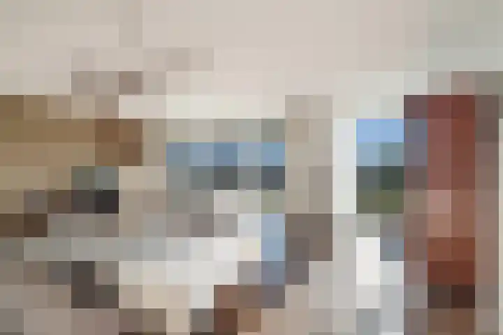 Klapwijkse Zoom 141 Berkel en Rodenrijs thumbnail 9