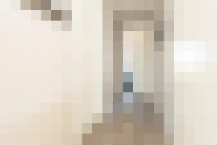Klapwijkse Zoom 199 Berkel en Rodenrijs thumbnail 10