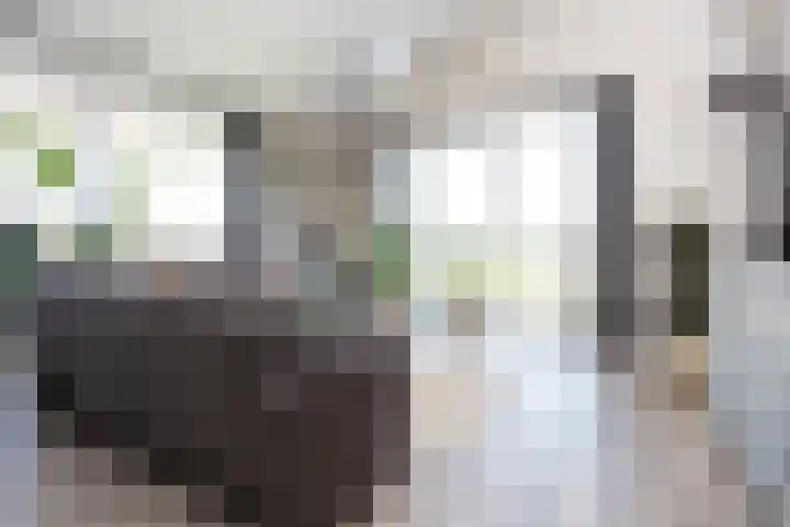 Klapwijkse Zoom 199 Berkel en Rodenrijs thumbnail 15