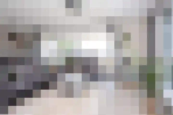 Klapwijkse Zoom 199 Berkel en Rodenrijs thumbnail 16