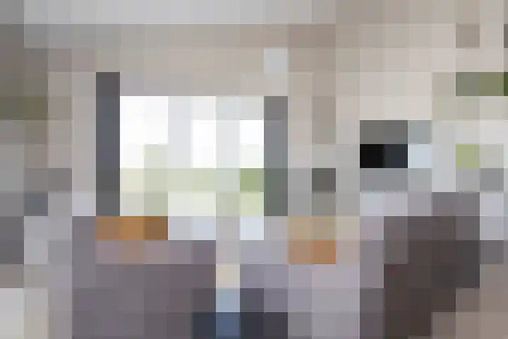 Klapwijkse Zoom 199 Berkel en Rodenrijs thumbnail 17