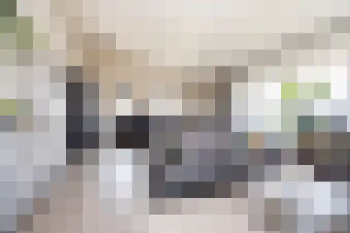 Klapwijkse Zoom 199 Berkel en Rodenrijs thumbnail 18