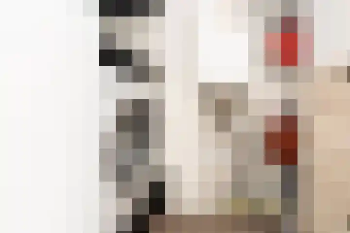 Klapwijkse Zoom 199 Berkel en Rodenrijs thumbnail 29