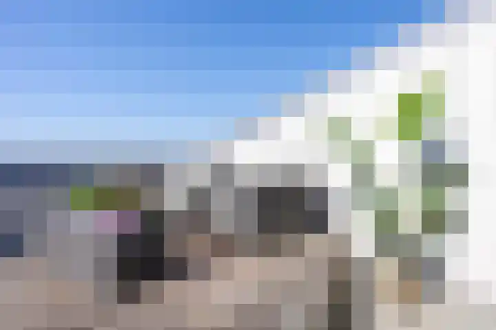 Klapwijkse Zoom 199 Berkel en Rodenrijs thumbnail 33
