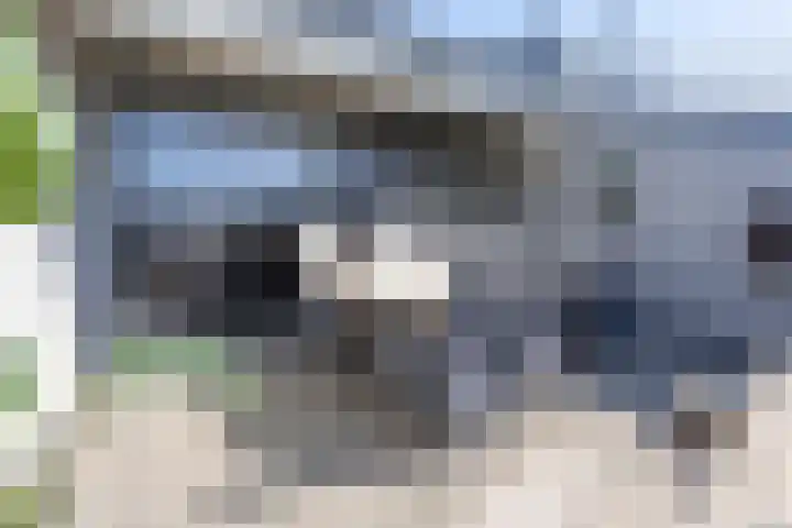 Klapwijkse Zoom 199 Berkel en Rodenrijs thumbnail 37
