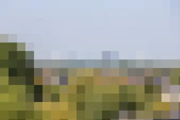Klapwijkse Zoom 199 Berkel en Rodenrijs thumbnail 39