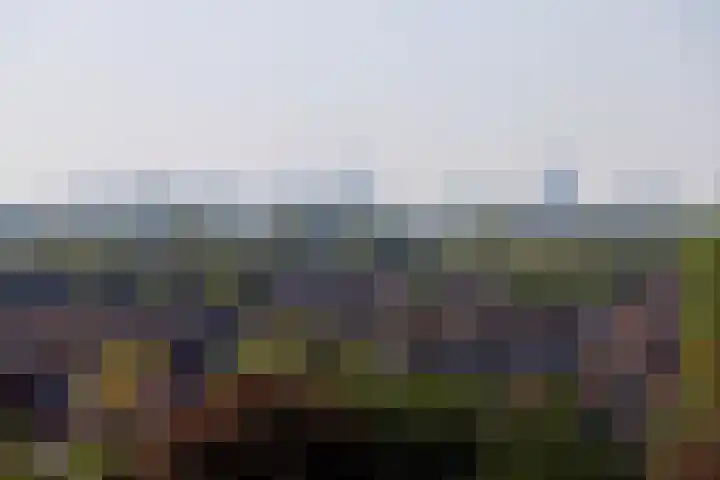 Klapwijkse Zoom 199 Berkel en Rodenrijs thumbnail 40