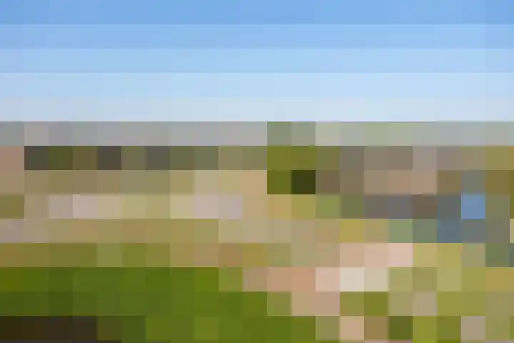 Klapwijkse Zoom 199 Berkel en Rodenrijs thumbnail 42