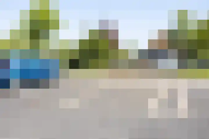 Klapwijkse Zoom 199 Berkel en Rodenrijs thumbnail 43