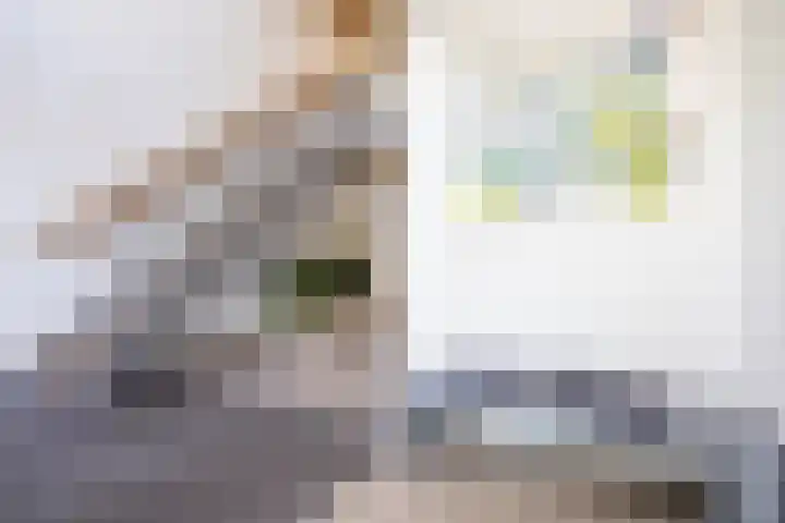 Klapwijkse Zoom 199 Berkel en Rodenrijs thumbnail 5