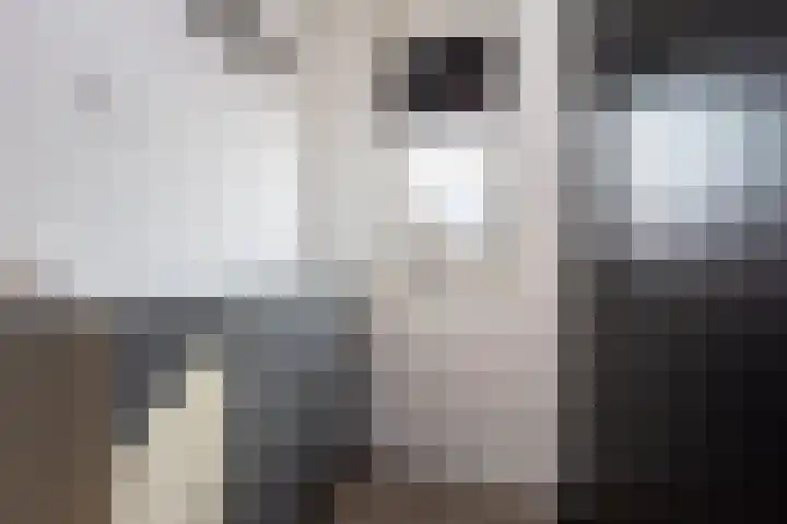 Klapwijkse Zoom 199 Berkel en Rodenrijs thumbnail 8