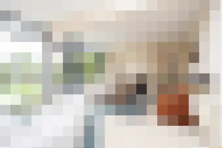 Klapwijkse Zoom 205 Berkel en Rodenrijs thumbnail 10