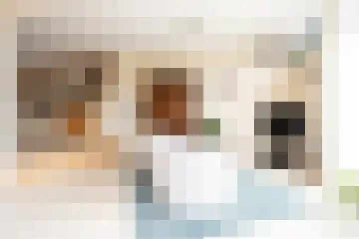 Klapwijkse Zoom 205 Berkel en Rodenrijs thumbnail 11