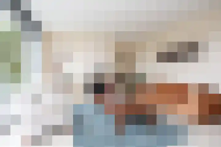 Klapwijkse Zoom 205 Berkel en Rodenrijs thumbnail 14