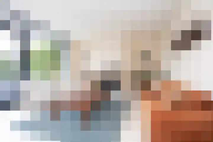 Klapwijkse Zoom 205 Berkel en Rodenrijs thumbnail 15