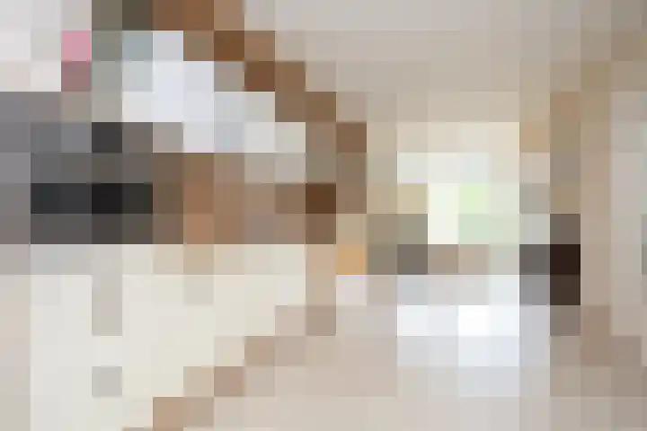 Klapwijkse Zoom 205 Berkel en Rodenrijs thumbnail 16