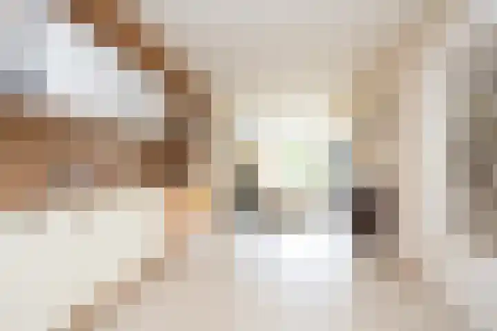 Klapwijkse Zoom 205 Berkel en Rodenrijs thumbnail 17