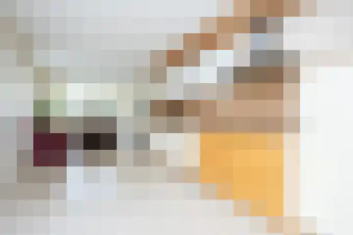 Klapwijkse Zoom 205 Berkel en Rodenrijs thumbnail 19