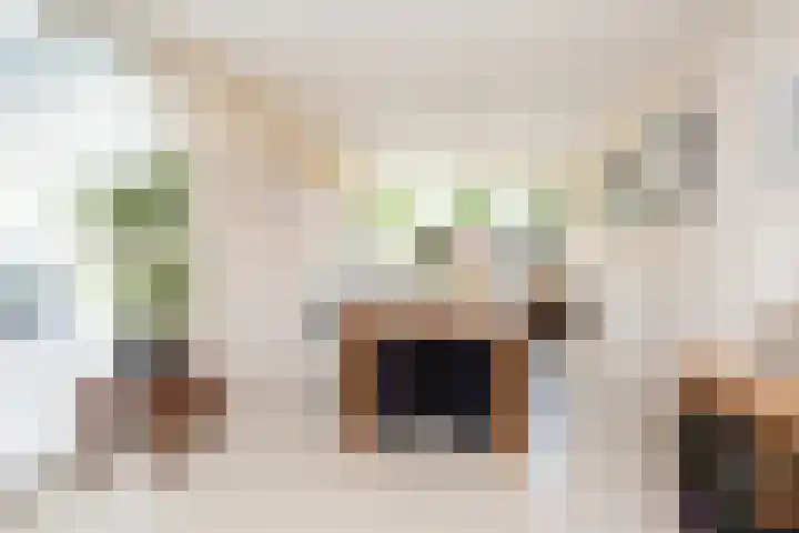 Klapwijkse Zoom 205 Berkel en Rodenrijs thumbnail 20