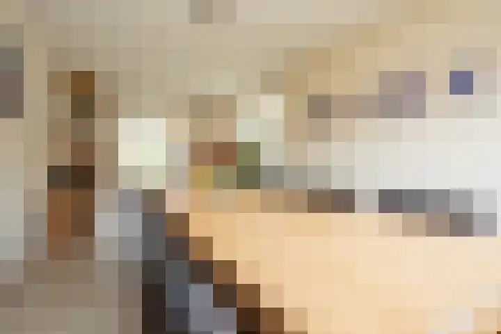 Klapwijkse Zoom 205 Berkel en Rodenrijs thumbnail 23