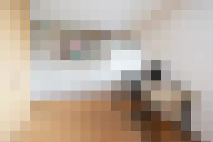 Klapwijkse Zoom 205 Berkel en Rodenrijs thumbnail 29