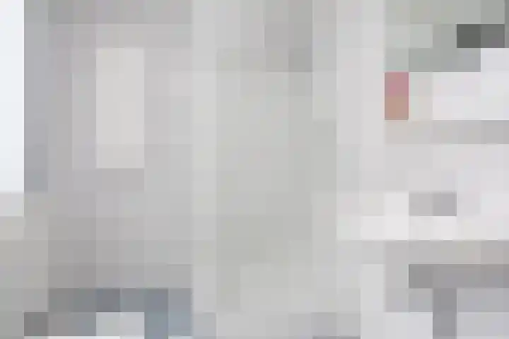 Klapwijkse Zoom 205 Berkel en Rodenrijs thumbnail 34