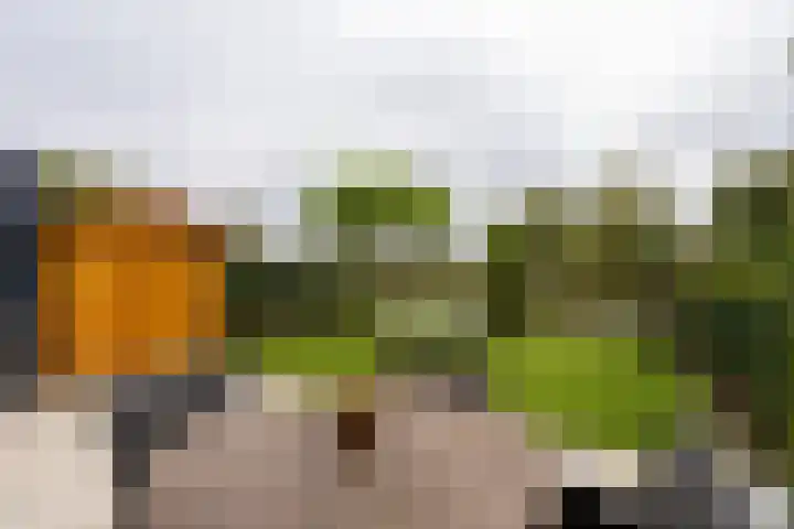 Klapwijkse Zoom 205 Berkel en Rodenrijs thumbnail 37