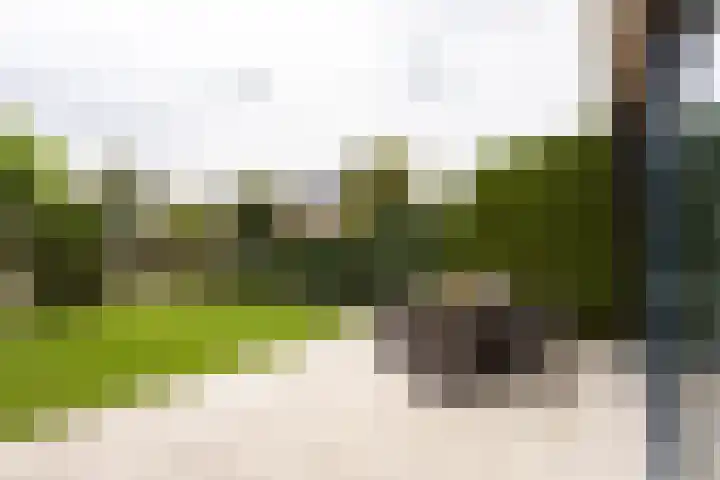 Klapwijkse Zoom 205 Berkel en Rodenrijs thumbnail 39